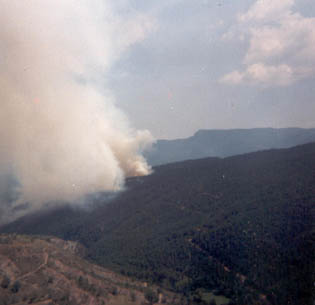 Incendi al bosc