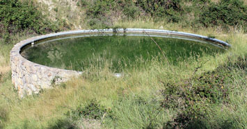 Bassa a la Vall de Carreu