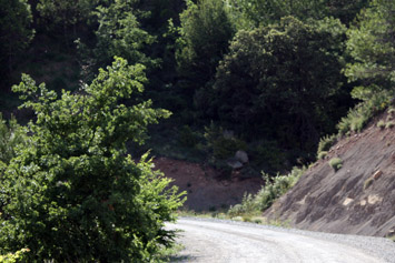 Font del Regueró