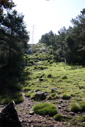 Camí cap al forat de la Bòfia