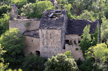 Sant Salvador, l'església de l poble