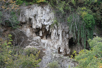 Tosca de la Font de la Reula