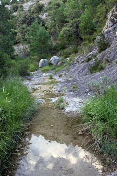 Riu del Barró