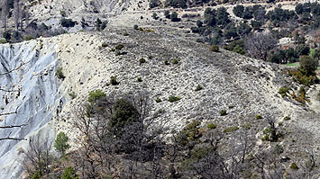 Tossal de Sant Andreu