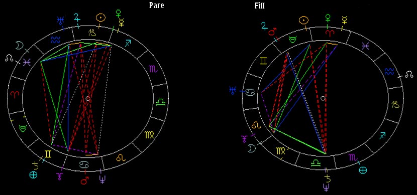 Cartes Astrals Natals